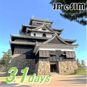 JBeSIM 31days