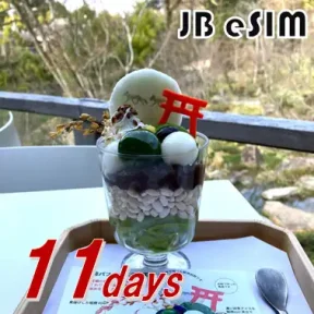 esim11d 【JB Data eSIM】11天