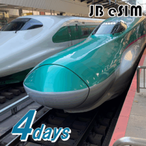 JBeSIM 4days