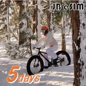 【JB Data eSIM】5日