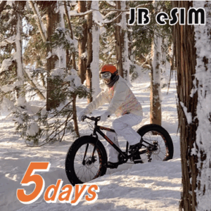 JBeSIM 5days
