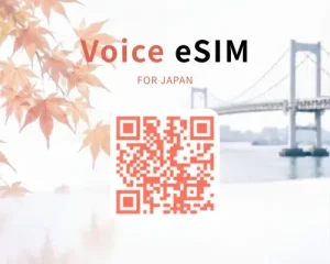1 (1) 【JB Voice eSIM】日本の携帯番号<br>海外ローミング対応