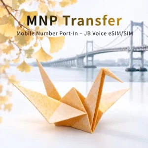 【JB Data eSIM】91天_3個月